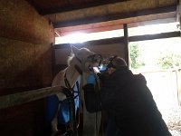 20151118 110733  She had to be sedated for this.