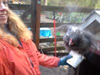 20151119 080502  Feeding Wheat is an adventure. This particular morning she JUMPED onto my hands!