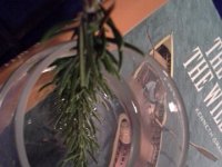 20151120 204116  Tincturing rosemary in vodka. If you ever do this - it tinctures in 30 sec. It's very fast. Pull that rosemary right out or it will be very very pungent.