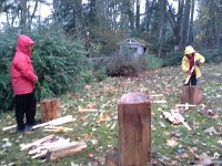 20151123 153829  The boys do kindling while I do the big stuff. I think we chopped a cord of wood over two afternoons.