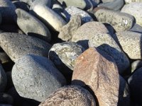 20151126 102701  On a beach walk midway through a run. It was cold, but warm in the sun. I was hoping to find some picture jasper or agate.