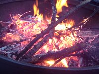 20151126 154021  Good embers there.