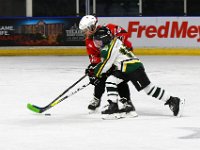 IMG 2872