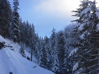 20151219 142209  Even though we're not at our destination yet - it's still hours away - being in the snow is wonderful!