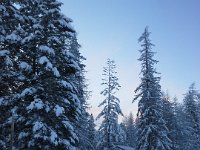 20151220 155825  Just beautiful out there.