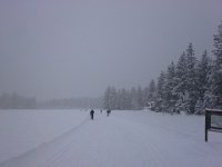 20151221 111005