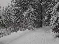 20151221 122315  Skate skiing on the left, and classic tracks run on the right.