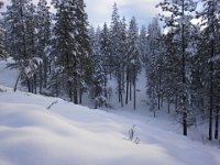 20151223 143202  Kind of down in a holler...