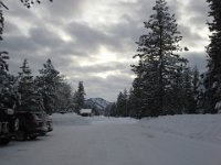 20151224 083721  I can't bear to leave, so I'm out taking photos and listening to my boots crunch.