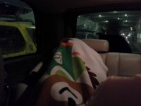 20151224 200635  Carver hiding.