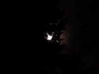 20151224 220340  And...finally home!!! Pine boughs around the moon like a wreath.