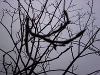 20151203 075936