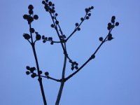 20151204 081432