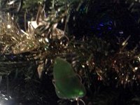 20151206 170310  Christmas ornaments.