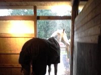 20151207 093101  Rainy days are for standing and hanging around.