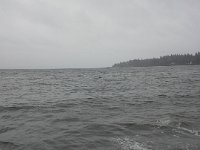 20151208 120554