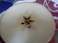 20151208 143455