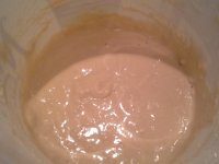 20151209 173000  Reviving a starter neglected for months.