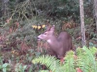 20151211 100935  Then walked across the road to our driveway!