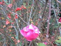 20151215 101420