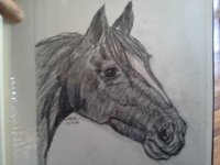20151225 120131