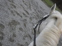 20151226 133612  Riding Emmy after a week off. She was none too pleased with the outing at first, but after a few bucks loosened us both up, we had a grand time.