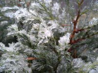20151227 115005  Frost and snow all over the island!