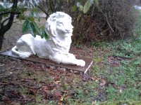 20151227 132119  As proof of Narnia, I also saw Aslan.
