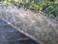 20151230 100017
