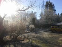 20160101 102326  So pretty out! I'm taking Emmy out for a ride.