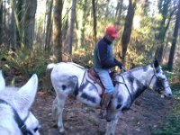 20160101 125035  I met Roger and Phoebe on the trail.