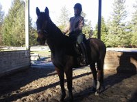 20160101 135645  My friend Bye on Jaeger - also out for a New Year's Day ride.