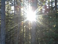20160102 144049  From the fire road.