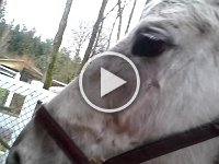 20160113 135845  I'm giving Emmy a kiss here. Watch her lips and tongue. So funny! She almost gets me!