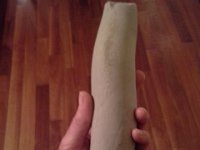 20160117 171249  This is fossil worm feces. Story posted sometime in Jan. We found this at a dig site in Seattle that we visited with a geologist friend. It was