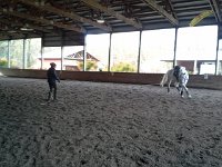 20160122 110852  Janet working with Emmy, who doesn't like having an outside rein some days...