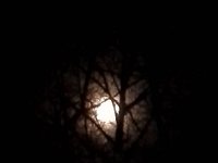 20160122 183349