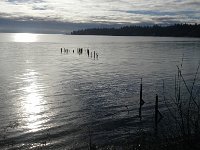 20160125 100739