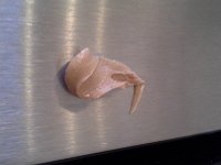 20160126 082251  Peanut butter hanging from the wrong place. Yup. It was that kind of morning!