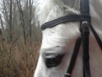 20160126 130906  On the way to ride with Emmy.