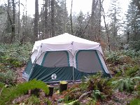 20160128 101625  The tent will be moved out of the woods to dry out by some helpful boys (Sam and neighbor Kai). But this is the campsite in the little clearing.