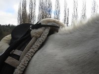 20160201 095221  furry coat :)