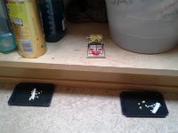 20160201 144800  Much like a mouse sniffs out bait!