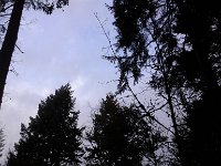 20160205 075621