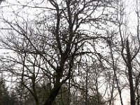 20160205 075646