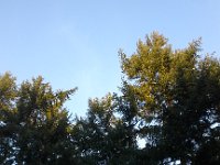 20160208 075425