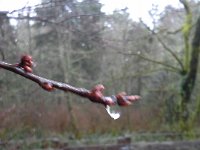 20160219 075848