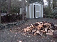 20160220 173636  Finished splitting the madrona rounds...now I just need to stack them!