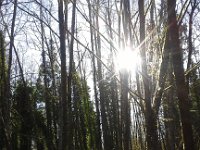 20160223 092515  Trails I enjoy jogging on.