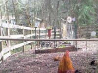 20160223 154549  Calvin and Wheat out for a stroll.